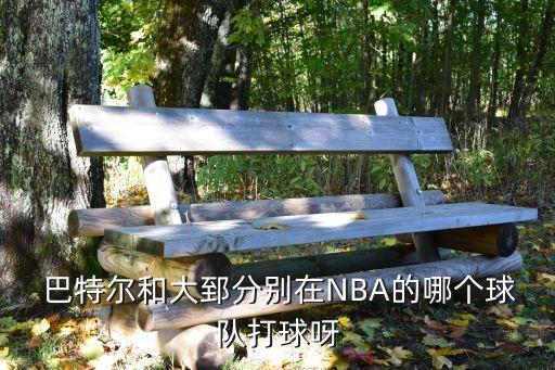  巴特爾和大郅分別在NBA的哪個球隊(duì)打球呀