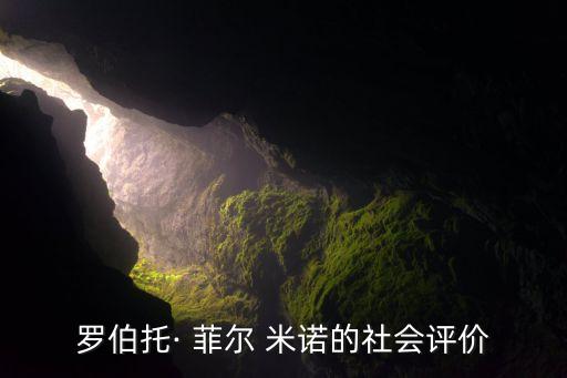 菲爾米諾踢哪個(gè)位置,因傷缺席巴西聯(lián)賽菲爾米諾不在名單內(nèi)