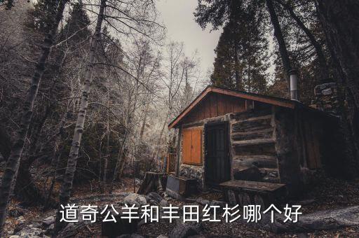 洋基和道奇哪個時尚,洛杉磯道奇ram的來歷
