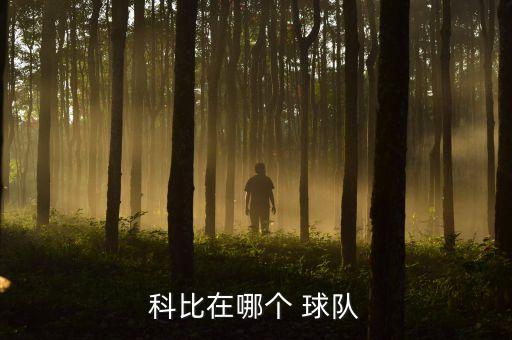 科比在哪個 球隊(duì)