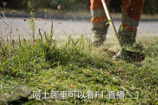 f1英國(guó)站直播 哪個(gè)電視臺(tái),中央電視臺(tái)體育頻道回顧（一）