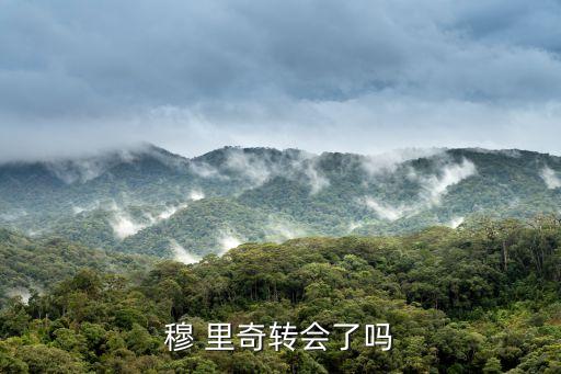 穆 里奇轉(zhuǎn)會了嗎