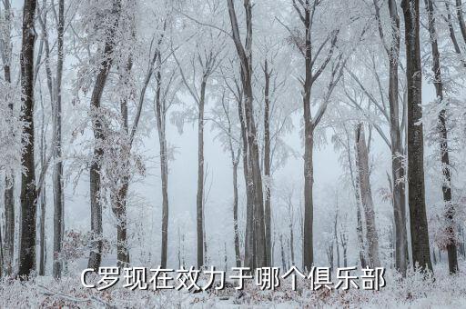 C羅現(xiàn)在效力于哪個(gè)俱樂(lè)部