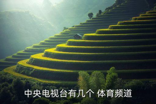 中央電視臺有幾個 體育頻道
