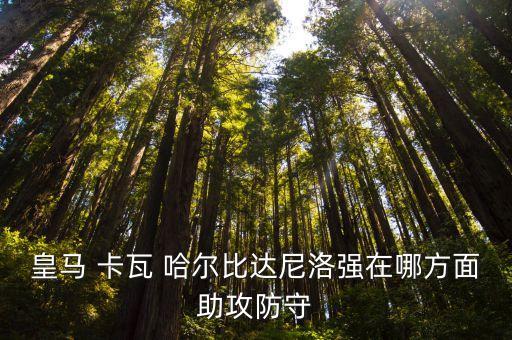卡瓦哈爾哪個賽季好,1/4決賽點球不敵俄羅斯西班牙小勝對手