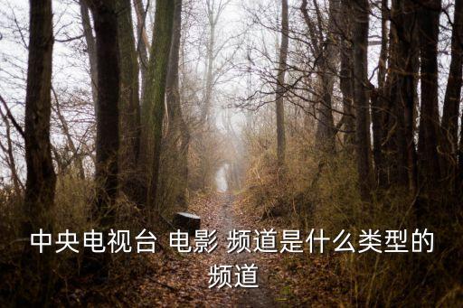 中央電視臺 電影 頻道是什么類型的 頻道