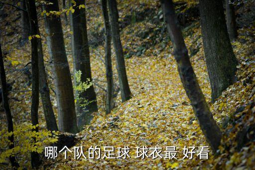 哪個隊(duì)的足球 球衣最 好看