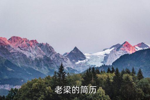 老梁在哪個(gè)平臺(tái)直播世界杯,老梁談世界第二季正式登陸蜻蜓fm