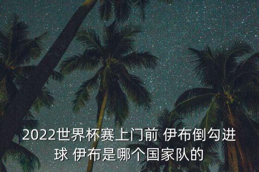 2022世界杯賽上門(mén)前 伊布倒勾進(jìn)球 伊布是哪個(gè)國(guó)家隊(duì)的