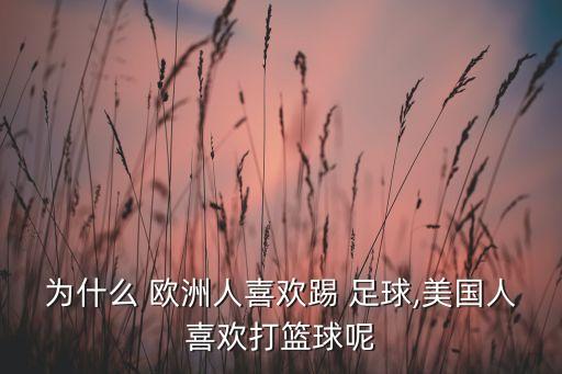 歐洲哪個國家喜歡足球,美國橄欖球發(fā)展不能只看國家聯(lián)賽和成績