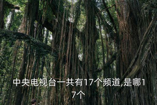 cctv懷舊劇場是哪個(gè)臺,中國電視臺播出的節(jié)目有哪些】