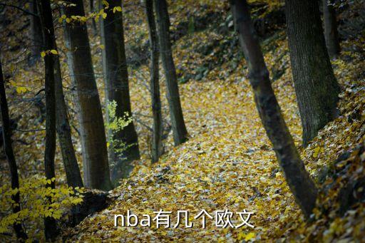 nba墨爾本聯(lián)隊是哪個隊,周琦加入nbl聯(lián)賽