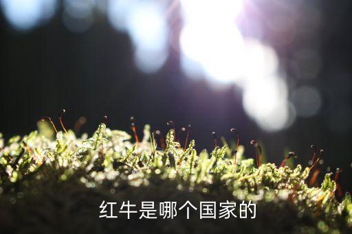 紅?；@球服是哪個(gè)隊(duì)的,f1紅牛車隊(duì)來(lái)自美國(guó)明尼蘇達(dá)州