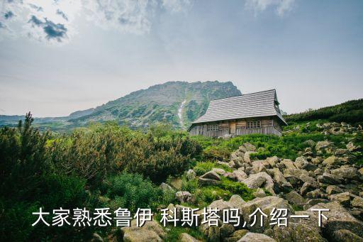 大家熟悉魯伊 科斯塔嗎,介紹一下