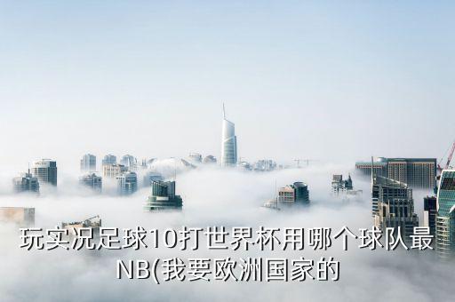 玩實(shí)況足球10打世界杯用哪個(gè)球隊(duì)最NB(我要?dú)W洲國(guó)家的