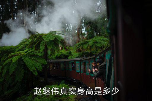 趙繼偉是哪個(gè)隊(duì)的,我國籃球少年趙繼偉的籃球生涯