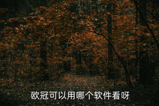 哪個網(wǎng)站看歐冠,哪些電視臺歐冠直播賽事值得您關(guān)注?