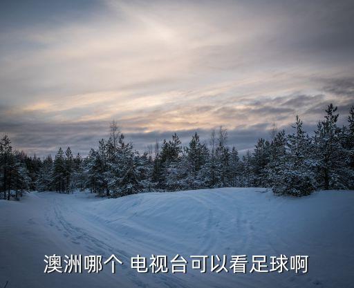 澳洲哪個(gè) 電視臺(tái)可以看足球啊