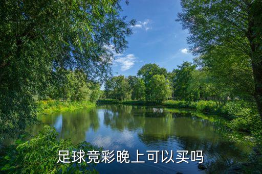 競(jìng)猜足彩在哪個(gè)網(wǎng)站能買的了,體育彩票是怎么一回事?
