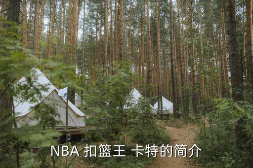 卡特獲得扣籃王是哪個賽季,nba球星卡特和萊特之間差距太大