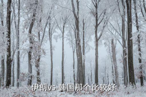 伊朗對(duì)韓國男籃哪個(gè)強(qiáng),我國男籃挺進(jìn)男籃半決賽中一度落后伊朗
