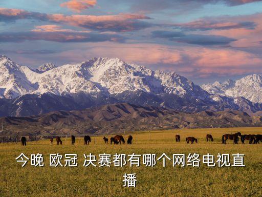 今晚 歐冠 決賽都有哪個(gè)網(wǎng)絡(luò)電視直播