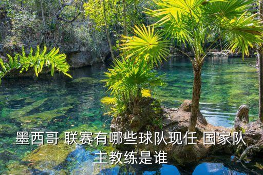 墨西哥 聯(lián)賽有哪些球隊現(xiàn)任 國家隊主教練是誰