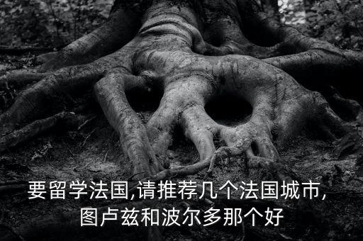 圖盧茲和巴黎哪個好,法國留學生申請的院校和專業(yè)