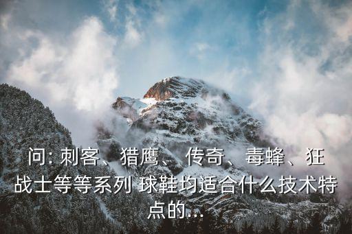 問(wèn): 刺客、獵鷹、 傳奇、毒蜂、狂戰(zhàn)士等等系列 球鞋均適合什么技術(shù)特點(diǎn)的...