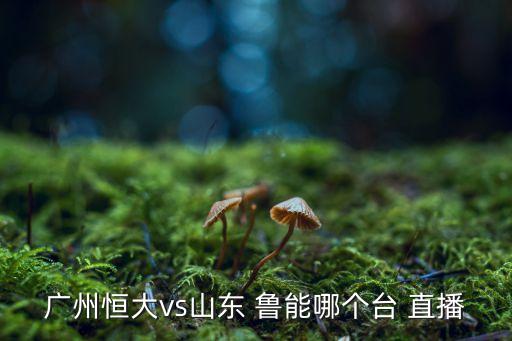 廣州恒大vs山東 魯能哪個(gè)臺(tái) 直播