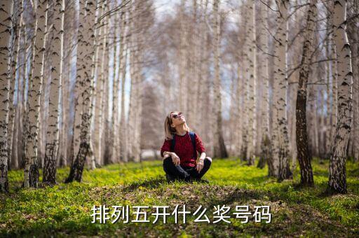 排列五網(wǎng)上投注在哪個(gè)網(wǎng)站,排列5買三位數(shù)每人要多少錢?