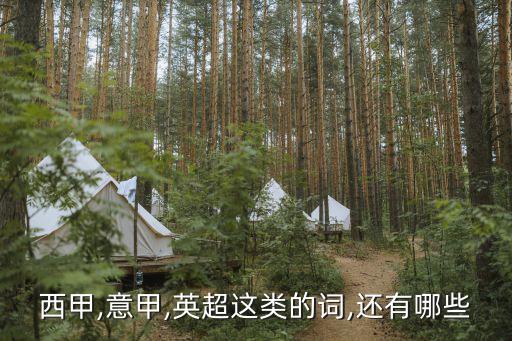 以甲和匈甲哪個強,隱形盔甲或比其他具有隱身能力盔甲簡單很多
