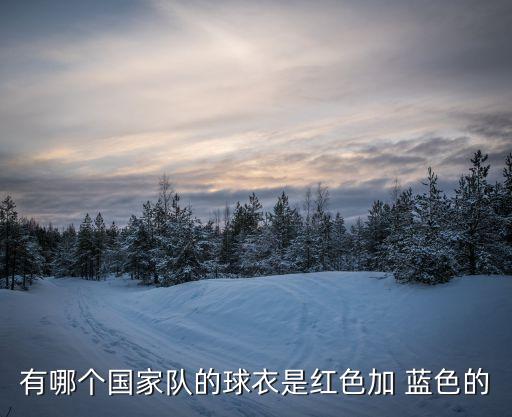有哪個國家隊(duì)的球衣是紅色加 藍(lán)色的