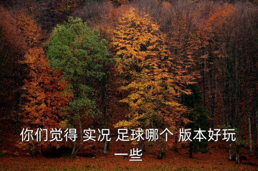 你們覺得 實(shí)況 足球哪個 版本好玩一些
