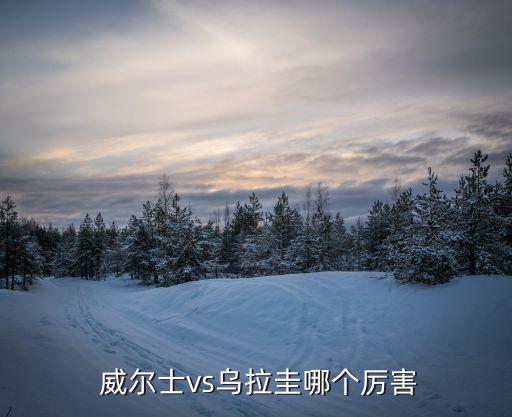 威爾士vs斯洛伐克哪個強,比利時強勢崛起讓全球足壇顫抖