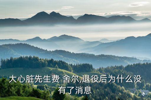大心臟先生費(fèi) 舍爾,退役后為什么沒(méi)有了消息
