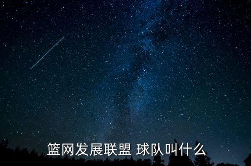  籃網發(fā)展聯(lián)盟 球隊叫什么