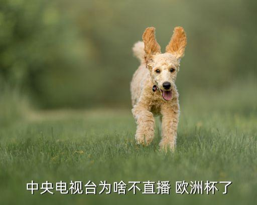 哪個(gè)臺可以看歐洲杯,世界杯重播可在谷歌、騰訊、央視等播出