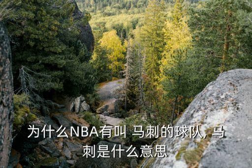 馬刺在哪個州,拜仁慕尼黑以馬刺命名新球隊名為馬刺)