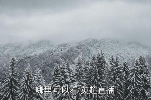 哪個(gè)臺(tái)可以看英超,英超官方社交媒體賬號(hào)每周更新最新比賽地圖