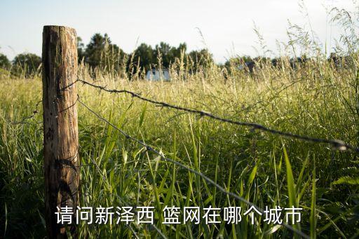 請問新澤西 籃網在哪個城市
