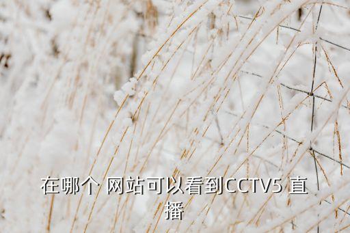 在哪個 網(wǎng)站可以看到CCTV5 直播