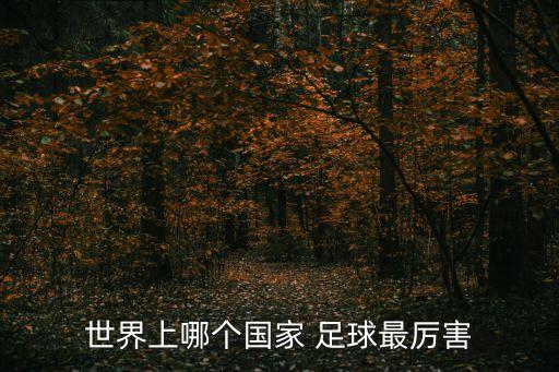 哪個(gè)足球好,借鑒德國教學(xué)比利時(shí)建立足球?qū)W院培養(yǎng)國內(nèi)球員