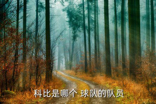 2015年科比在哪個球隊(duì),nba球星科比退役
