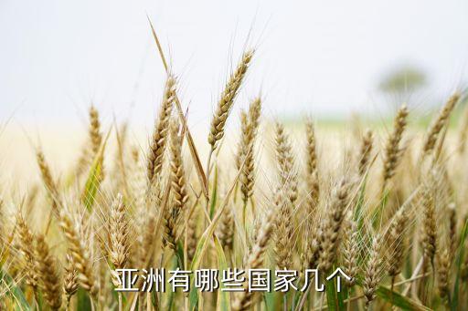 亞洲有哪些國家?guī)讉€(gè)
