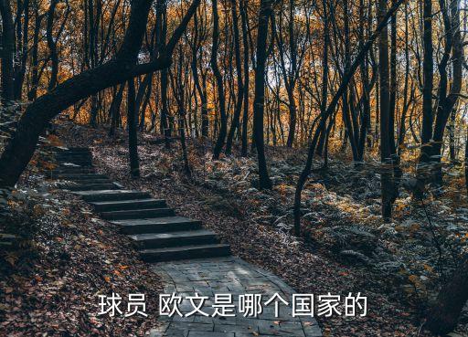 球員 歐文是哪個(gè)國(guó)家的