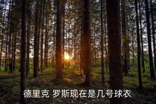 德里克 羅斯現(xiàn)在是幾號球衣