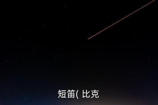 短笛( 比克