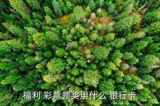 彩票獎(jiǎng)金存哪個(gè)銀行,彩票不是賭博而是財(cái)富