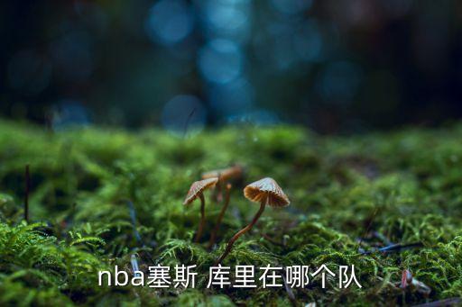 庫里屬于哪個戰(zhàn)隊(duì),我國籃球巨星斯蒂芬?guī)炖? /></a><a href=